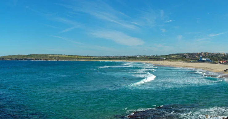 Disclaimer Disclaimer